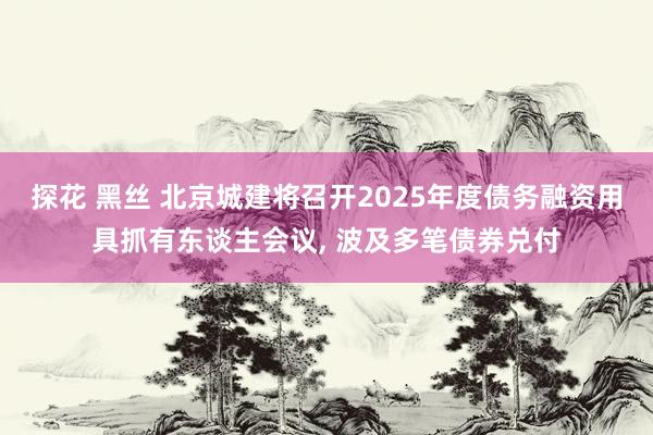 探花 黑丝 北京城建将召开2025年度债务融资用具抓有东谈主会议， 波及多笔债券兑付