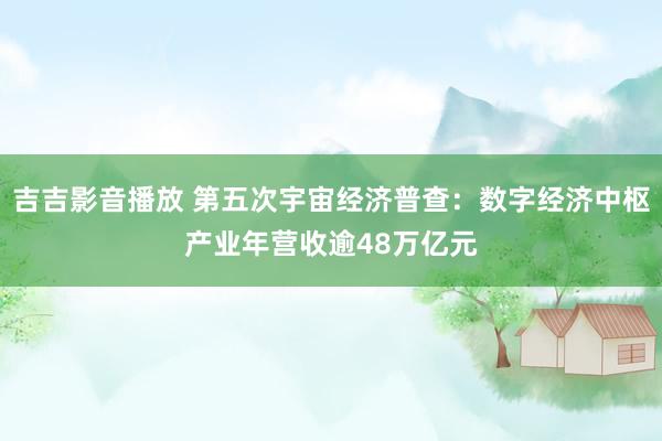 吉吉影音播放 第五次宇宙经济普查：数字经济中枢产业年营收逾48万亿元