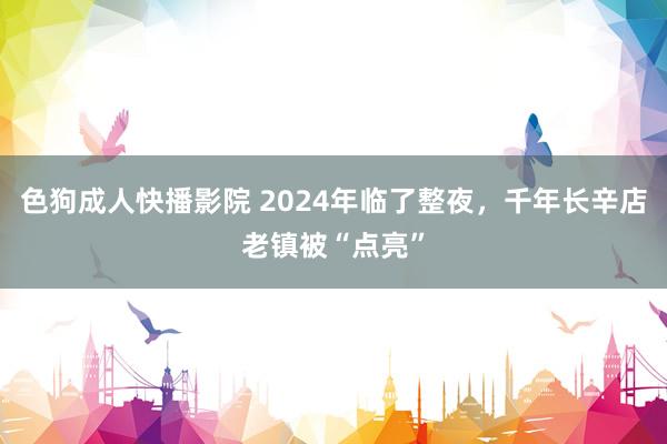 色狗成人快播影院 2024年临了整夜，千年长辛店老镇被“点亮”