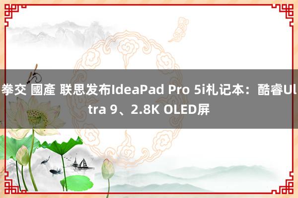 拳交 國產 联思发布IdeaPad Pro 5i札记本：酷睿Ultra 9、2.8K OLED屏