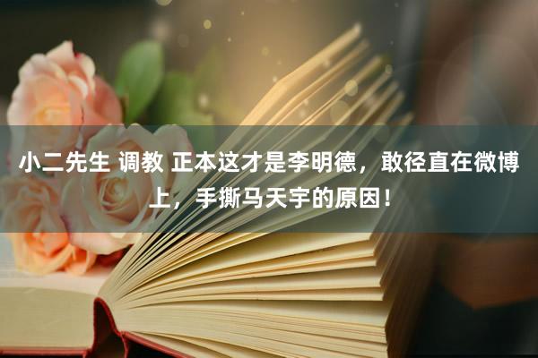 小二先生 调教 正本这才是李明德，敢径直在微博上，手撕马天宇的原因！