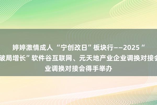 婷婷激情成人 “宁创改日”板块行——2025“向新而生 破局增长”软件谷互联网、元天地产业企业调换对接会得手举办